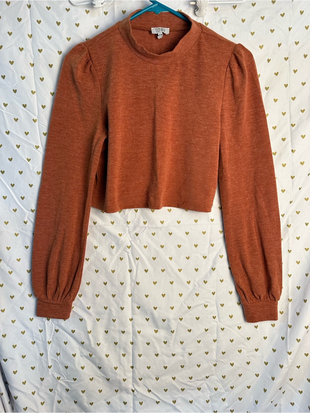 Tobi Rust Orange Mock Neck Long Sleeve Crop Top - S